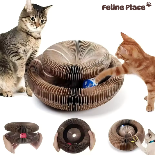PawTwist